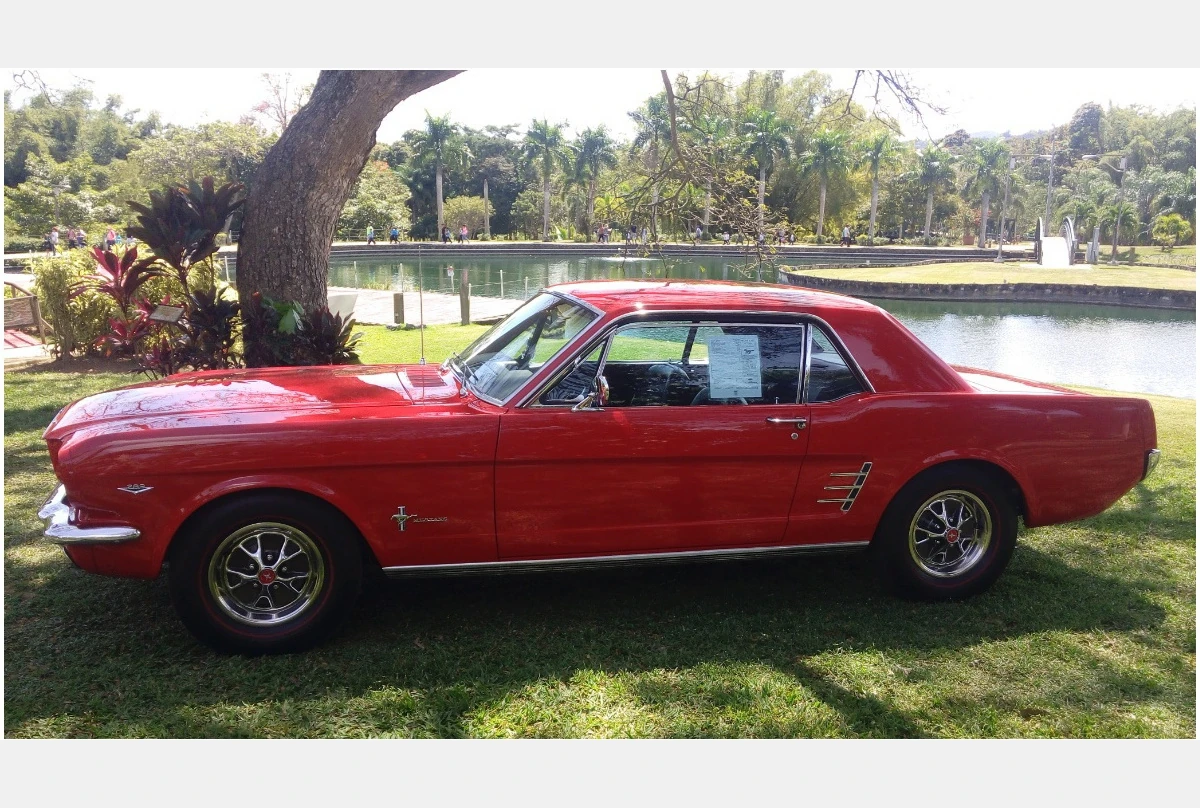 1966 Ford Mustang Ovidio Matos